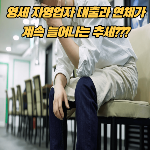 자영업대출DB 자영업대출DB